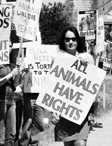 rights of animals