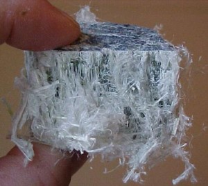asbestos campaign, asbestos history, asbestos fibers, asbestos expert, asbestos in schools, asbestos pleural plaques, asbestos register, asbestos news, asbestos cement, asbestos regulations, asbestos in homes, asbestos insulation, asbestos ceiling tiles, artex asbestos, exposed to asbestos, asbestos risk, risk of asbestos, chrysotile asbestos, identifying asbestos, asbestos products